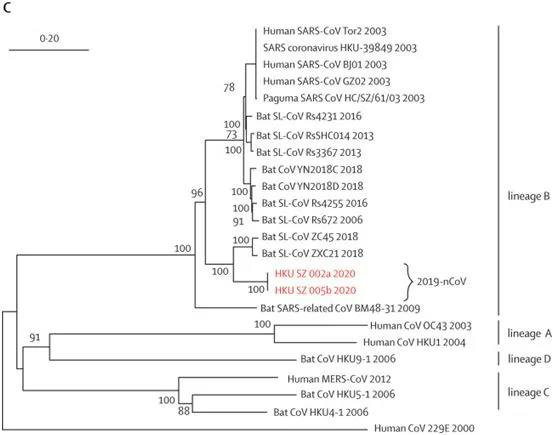 图片来自Lancet, 2020, doi:10.1016/S0140-6736(20)30154-9。